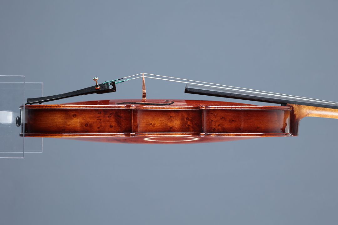 Leonhardt Rainer W. - Mittenwald Anno 2025 - November Bird - G-854